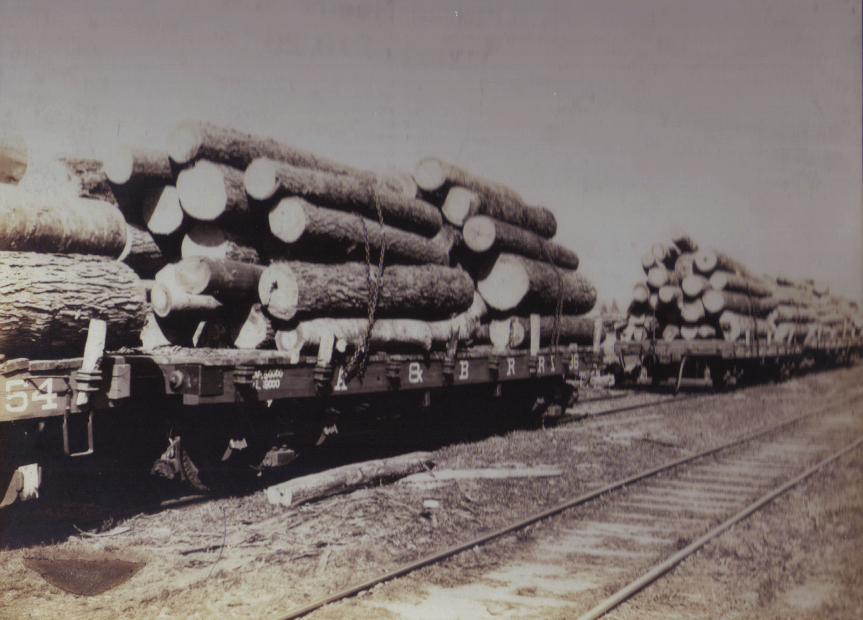 Flatcars Filled with Logs